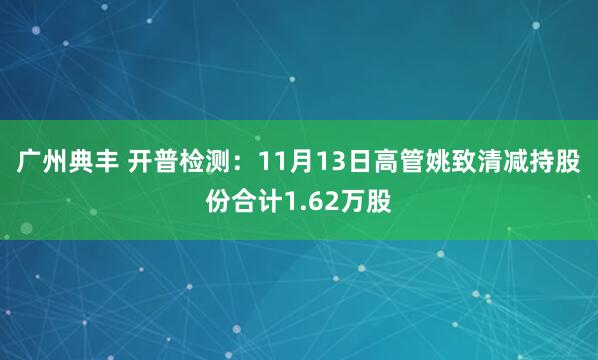 广州典丰 开普检测：11月13日高管姚致清减持股份合计1.62万股
