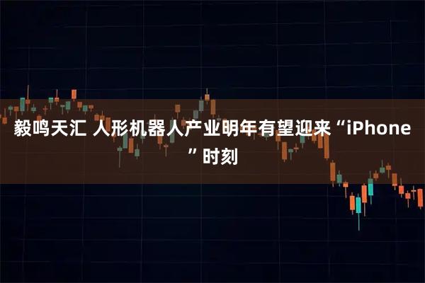 毅鸣天汇 人形机器人产业明年有望迎来“iPhone”时刻